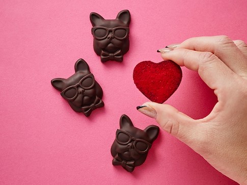 フレンチブルドッグチョコレート（バレンタイン限定Ver.）